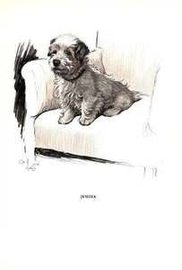 Antique 1930s Cecil Aldin Sealyham Terrier Print Sealyham Art Illustration 5487Q - Picture 1 of 2
