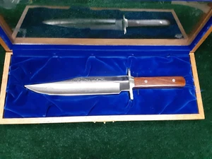 BUCK CUSTOM 12-3/8" BOWIE KNIFE NEVADA GOLD LE 054/250 USA + Glass Oak Display N - Picture 1 of 9