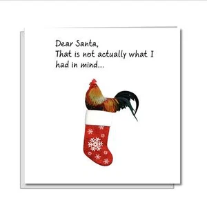 Freche sexy Weihnachtskarte - großer Schwanz im Strumpf - humorvoll amüsant Spaß xmas c - Bild 1 von 5