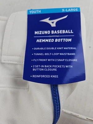 Mizuno Baseball  Pants Youth XLarge Plus Padding White With Blue Stripe (841) - Image 1 of 4