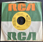 JASON & OMAR/Irene b/w Ruby L’Deux (RCA RECORDS Promo Copy; 1975) NM