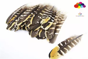 Natural Black Pheasant Tail sheet Feathers 6-8inch/15-20cm Diy Carnival headress - Picture 1 of 5
