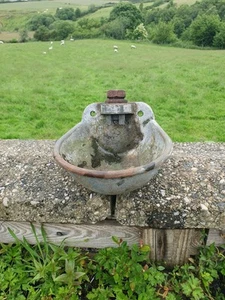 bird bath - Picture 1 of 2