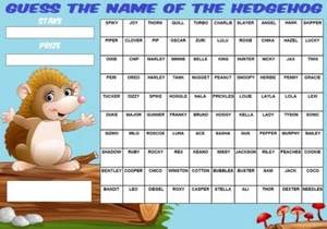 GUESS THE NAME OF HEDGEHOG SCRATCHCARD 100 Player Squares Game Charity Fundraise - Picture 1 of 1