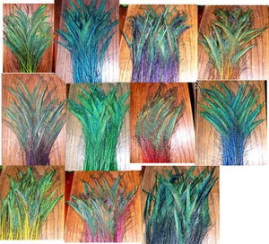 10 Peacock Sword Feathers 20-21" STEM DYED 11 colors available - Picture 1 of 32