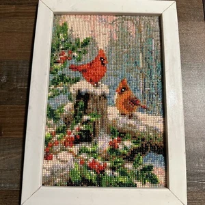 Fertig Diamond Dotz Gemälde Winter Vögel Kardinal Schnee 10X14 Punkte gerahmt - Bild 1 von 16