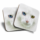 2 x Coasters - Adorable White Cat Kitten Home Gift #3705