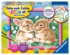 Ravensburger Malen nach Zahlen 27695 - Niedliche Häschen - Kinder ab 7 Jahr ...