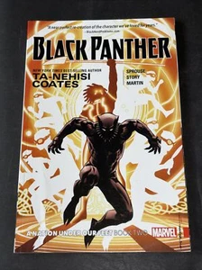 Black Panther: A Nation Under Our Feet Book 2 Ta-Neshi Coates, Marvel Comics - Picture 1 of 16