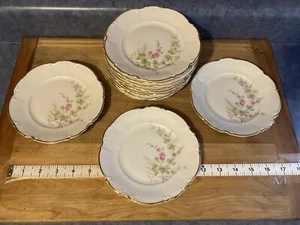 Hutschenreuther Selb China Bavaria Gold Rim Floral 12 Small Dessert Plates - Picture 1 of 13