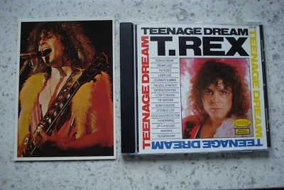T.REX TEENAGE DREAM CD PANINI POP STARS TANX SLIDER ZINC ALLOY ELECTRIC WARRIOR - Bild 1 von 4