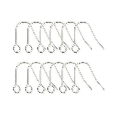 12pcs 20G Small Pure Titanium Earring Fish Hooks 12PCS 12pcs Small fish hook - Image 1 of 4