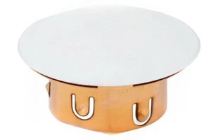 12 x Tyco LFII 3/4" Abdeckplatte für Feuerregner 568914165. RAL9003 139/59 - Bild 1 von 5