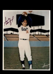 Sandy Koufax JSA Coa Signed 8x10 Photo Autograph Dodgers - Picture 1 of 2