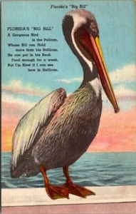 Big Bill Pelican Poem Postcard Posted c. 1961 - Picture 1 of 2