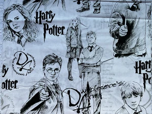 NUEVO Y DIFÍCIL DE ENCONTRAR Telas Camelot Hogwarts HARRY POTTER RON Y HERMIONE BOCETOS PERSONAJES - Imagen 1 de 2