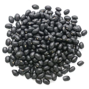 Organic Black Beans – Sproutable, Non-GMO, Kosher, Raw, Vegan – by Food to Live - Picture 1 of 37