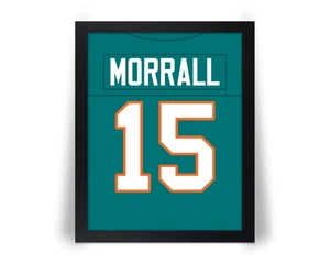 compare to EARL MORRALL Football Photo Picture / 8x10 11x14 or 16x20 (JZ) - Picture 1 of 12