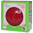 Harrisons Small Animal Exercise Ball Toy Portable Wheel Plastic Running Pet Game