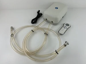 Sleep Number Select Comfort Doppelschlauch Luftbettpumpe SFCS03DR & Funkfernbedienung - Bild 1 von 22