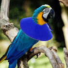  Papageien-Halsband Antipickkegel Für Vögel Vogelhalsband Schmücken