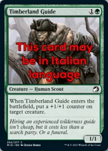 MTG 4x TIMBERLAND GUIDE EXC - GUIDA DELL'ALBERETO - MID - MAGIC - Picture 1 of 1