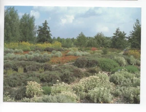 AK Berlin /Erholungspark d.Bundesgartenschau 1985 Karl-Foerster-Staudenga. (XG) - Bild 1 von 2