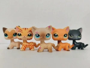 5pcs/lot Littlest Pet Shop Figure LPS Cat #3573#1451#816#1643#336 Kid Toy - Picture 1 of 6