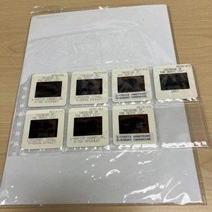 Revenge of the Nerds 3 III: The Next Generation Press Kit 7 Promo Slides 1992 - Imagen 1 de 6