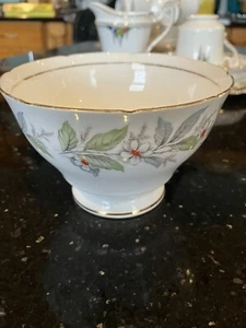 Salisbury Sugar Bowl, Bone China, Vintage - Picture 1 of 4