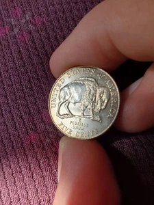 RARE 2005 D Buffalo Nickel Annealing Error Copper Edges See Pictures Super Cool - Picture 1 of 12