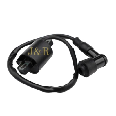 Bobina de encendido Suzuki LT250 LT 250R Quadracer 1986 1987 1988 1989 1990 1991 1992 Foto 1 de 2