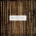 Steve Moore Beloved Exile (CD) Album