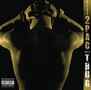2 Stück - Schläger: Das Beste von 2Pac Teil 1 exklusiv limitiert goldfarbenes Vinyl VERSIEGELT - Bild 1 von 3