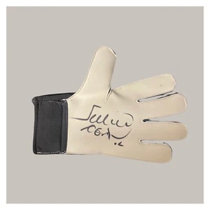 Hand Signed Julio Cesar Signed Glove Brazil,inter Milan + Coa + Proof  - Picture 1 of 5