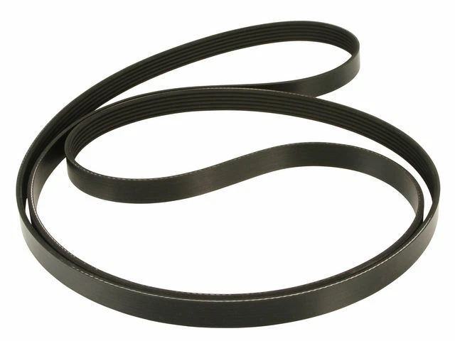 Cinturón multi costilla para Ford E250 Econoline 1993-2002 1994 1995 1996 1997 1998 D859YR Foto 1 de 1