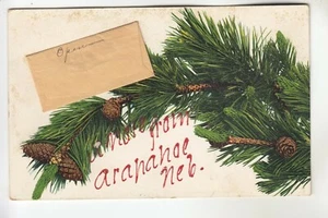 Pine Branch A Note from Arapahoe NE - Picture 1 of 1