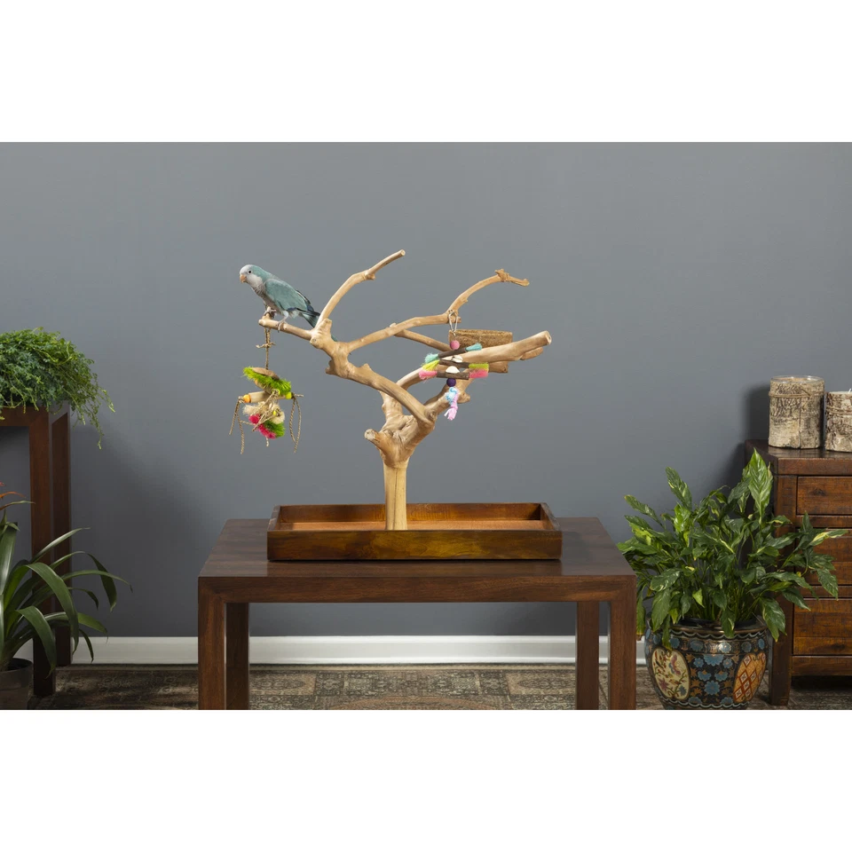 Prevue Pet Products Coffeawood Java Tree Minis Medium Table Top Playstand 22634 - Image 1 of 1