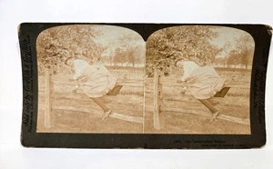Tarjeta Stereoview c1903 #2480, humor, dama trepando por la cerca, repostado interrumpido - Imagen 1 de 3