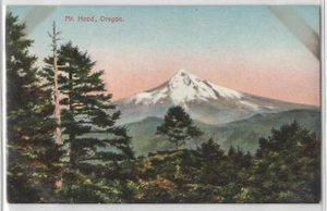 Blick auf den Mt. um 1900 Hood Oregon Schnee bedeckt durch Hölzer malerische Postkarte - Bild 1 von 2