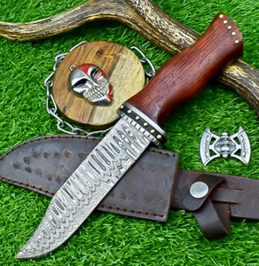Custom Handmade Damascus Steel Hunting Knife - Camping KNIFE, sheath, SN-1273 - Picture 1 of 8