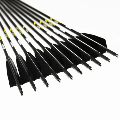 12pcs Carbon Arrows sp300-600 5"Turkey feather Compound Traditional Bow Hunting  - Image 1 of 4