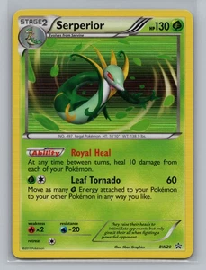 Pokemon Black & White Promo Serperior Holo - NM #BW20 10886 - Bild 1 von 2