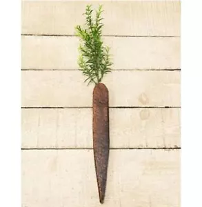 Carrot Rustic Wood Lath Primitive Spring Summer Garden Decor 20 in (incl greens) - Picture 1 of 1