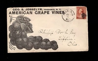 American Grape Vines G Josselyn Fredonia NY Fancy Cancel c1885 Cover  9q - Image 1 of 2