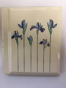 Otagiri OMC Lackbekleidung Album IRIS RHAPSODY/Weiß 3” x 5” Fotos - Bild 1 von 4