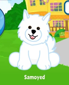 Webkinz Classic Samoyed Adoption Code Only MESSAGED RETIRED - Picture 1 of 1