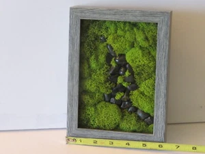 Shadow Box Display of Nature 6"x8"x1.5". Beach pebbles and Moss. Free Shipping - Picture 1 of 7