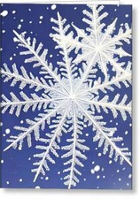 Snow Time  - Greeting Cards