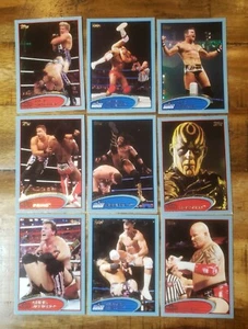 Blue Parallel 9 Card Lot. WWE Topps 2012 - Picture 1 of 2